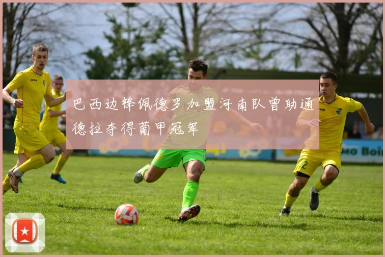 巴西边锋佩德罗加盟河南队曾助通德拉夺得葡甲冠军