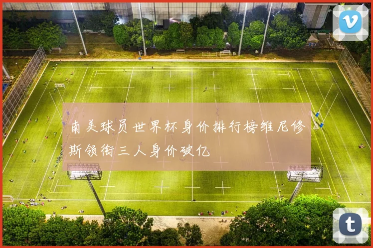 南美球员世界杯身价排行榜维尼修斯领衔三人身价破亿